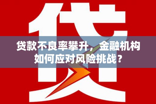 哈尔滨贷款不良率攀升，金融机构如何应对风险挑战？