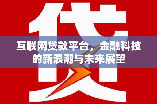 哈尔滨互联网贷款平台，金融科技的新浪潮与未来展望
