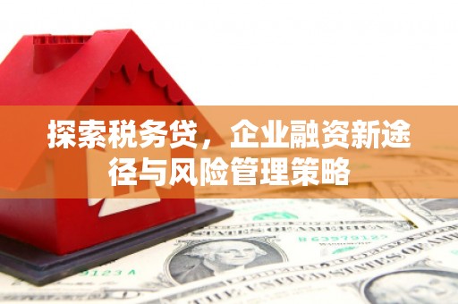 哈尔滨探索税务贷，企业融资新途径与风险管理策略