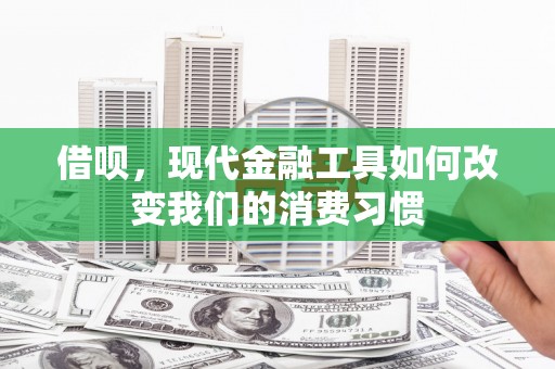 哈尔滨借呗，现代金融工具如何改变我们的消费习惯