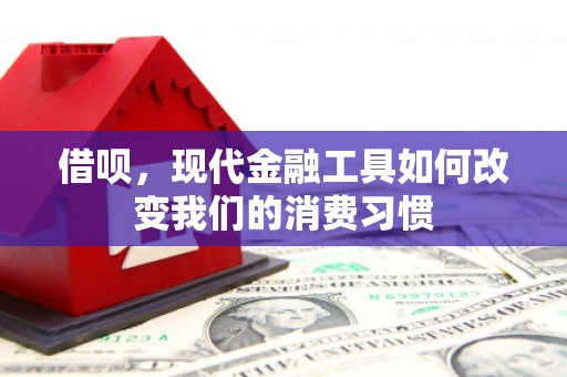 哈尔滨借呗，现代金融工具如何改变我们的消费习惯