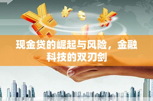 哈尔滨现金贷的崛起与风险，金融科技的双刃剑