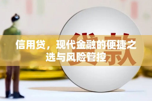 哈尔滨信用贷，现代金融的便捷之选与风险管控
