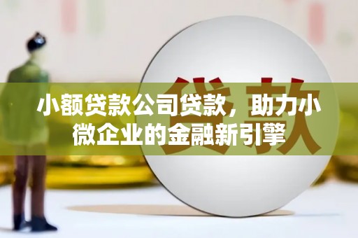 哈尔滨小额贷款公司贷款，助力小微企业的金融新引擎