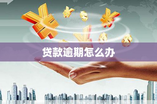 哈尔滨贷款逾期怎么办