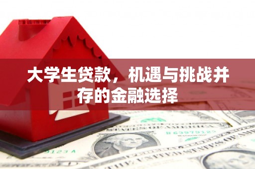 哈尔滨大学生贷款，机遇与挑战并存的金融选择