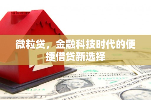 哈尔滨微粒贷，金融科技时代的便捷借贷新选择