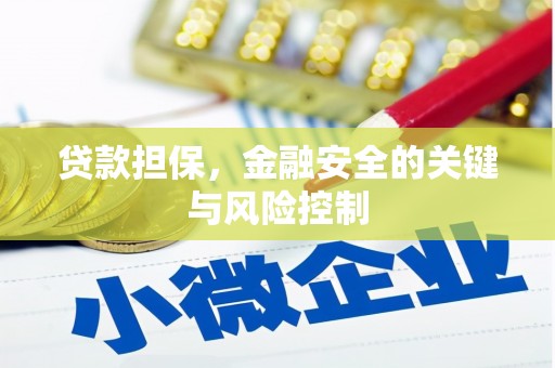哈尔滨贷款担保，金融安全的关键与风险控制