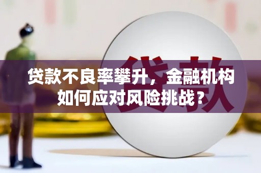 哈尔滨贷款不良率攀升，金融机构如何应对风险挑战？