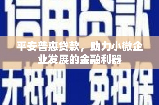 哈尔滨平安普惠贷款，助力小微企业发展的金融利器