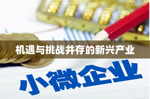 哈尔滨机遇与挑战并存的新兴产业
