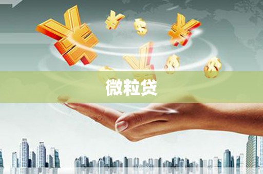 哈尔滨微粒贷