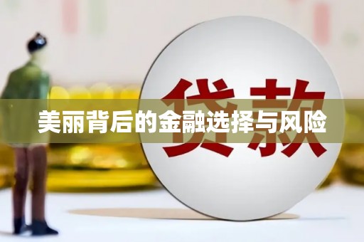 哈尔滨美丽背后的金融选择与风险