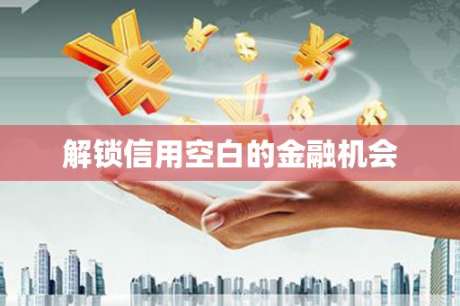 哈尔滨解锁信用空白的金融机会