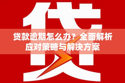 哈尔滨贷款逾期怎么办？全面解析应对策略与解决方案