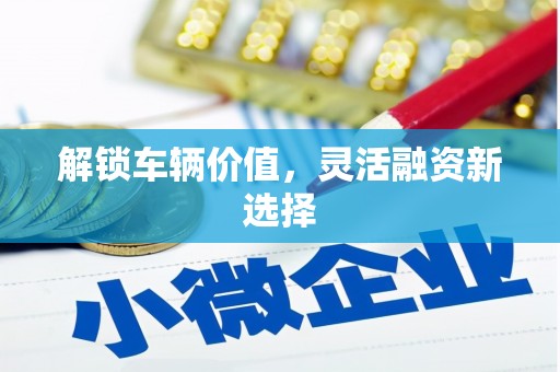 哈尔滨解锁车辆价值，灵活融资新选择