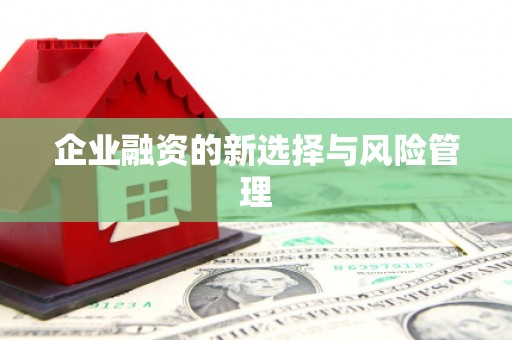 哈尔滨企业融资的新选择与风险管理