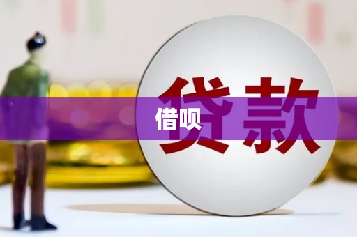 哈尔滨借呗