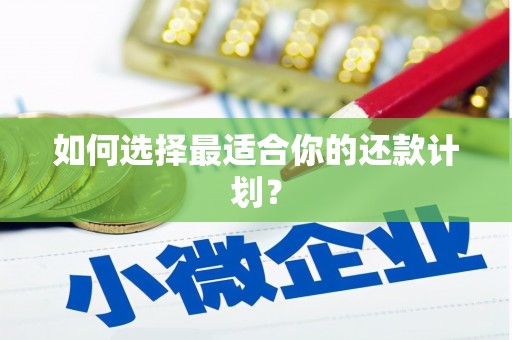哈尔滨如何选择最适合你的还款计划？