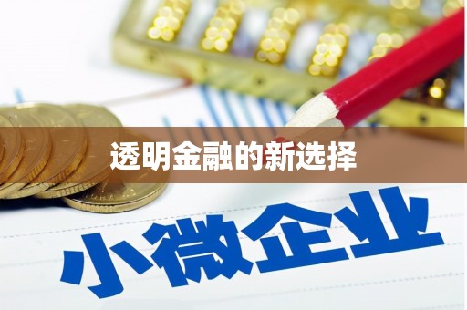 哈尔滨透明金融的新选择