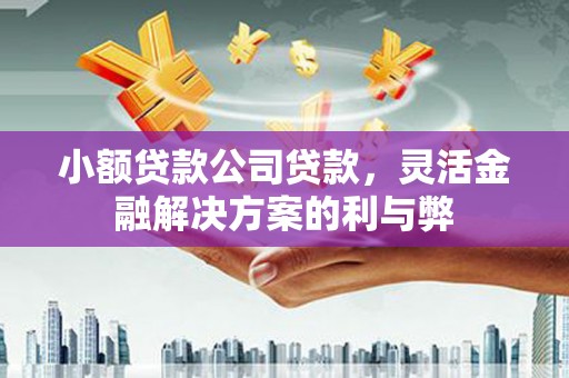 哈尔滨小额贷款公司贷款，灵活金融解决方案的利与弊