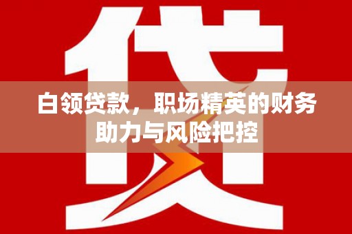 哈尔滨白领贷款，职场精英的财务助力与风险把控