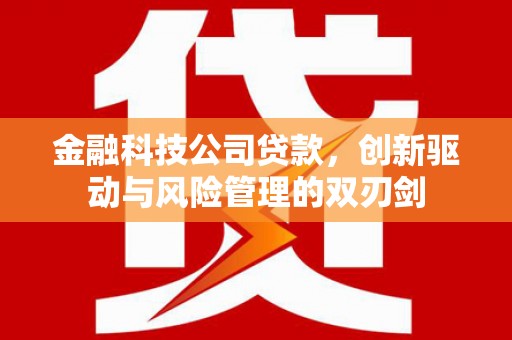哈尔滨金融科技公司贷款，创新驱动与风险管理的双刃剑